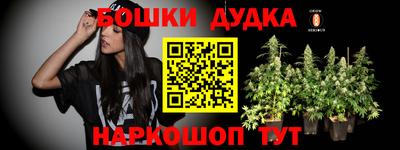 трава Кингисепп
